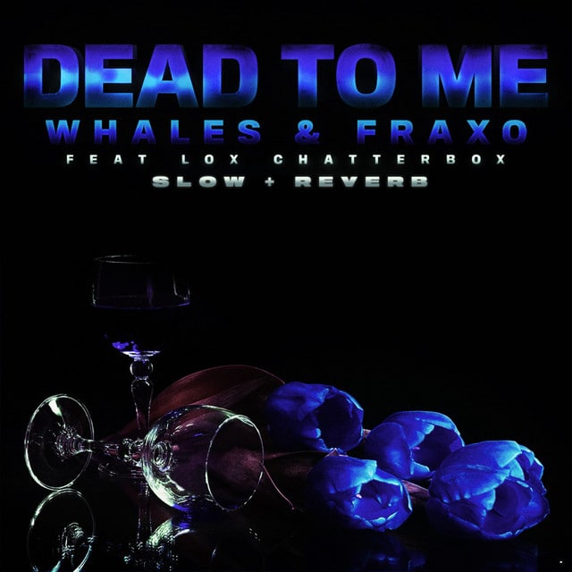 Whales Dead To Me 